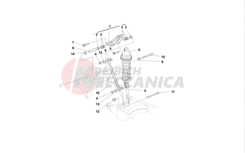 REAR SUSPENSION