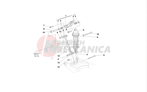 REAR SUSPENSION