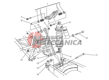 REAR SUSPENSION