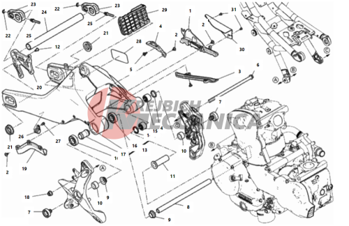 REAR SWINGING ARM