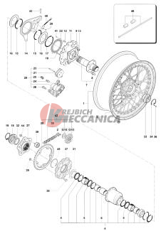 Rear Wheel Assembly