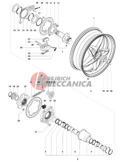Rear Wheel Assembly