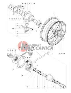 Rear Wheel Assembly