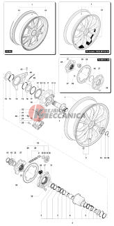 Rear Wheel Assembly