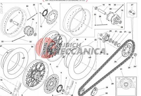 Ruota anteriore e posteriore