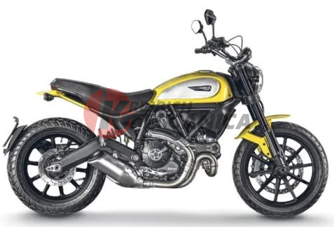 Scrambler 800 Icon (2015)