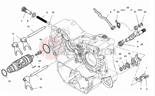 SHIFT CAM - FORK