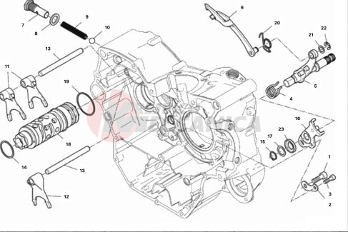 SHIFT CAM - FORK