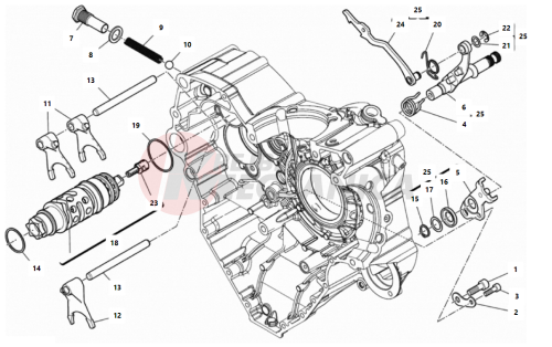 SHIFT CAM - FORK