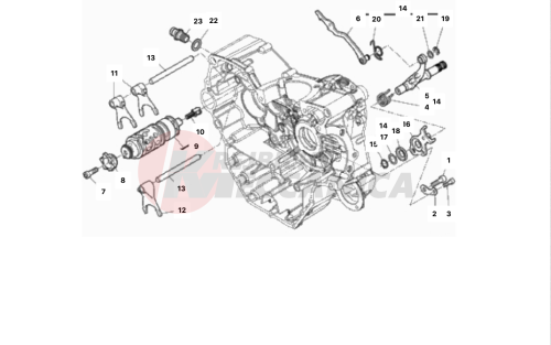 SHIFT CAM - FORK