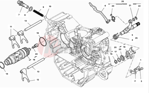 SHIFT CAM - FORK