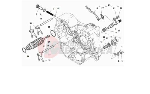 SHIFT CAM - FORK