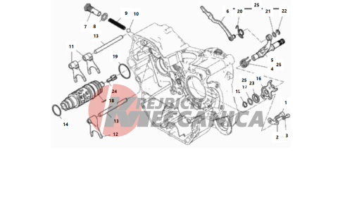 SHIFT CAM - FORK