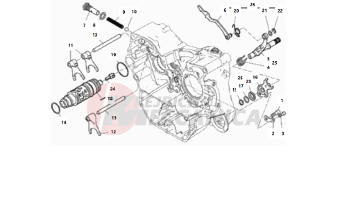 SHIFT CAM - FORK