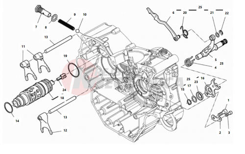 SHIFT CAM - FORK