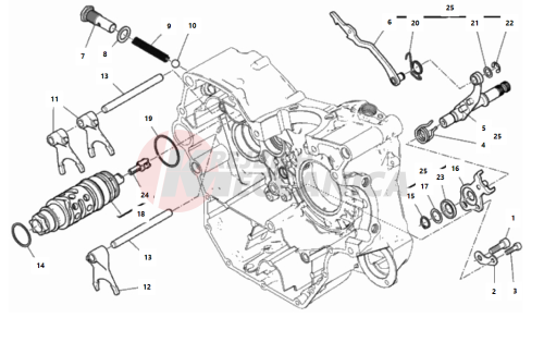 SHIFT CAM - FORK