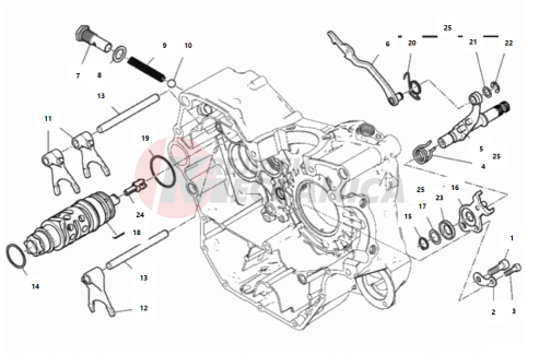 SHIFT CAM - FORK