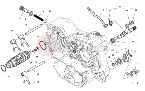 SHIFT CAM - FORK