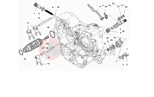 SHIFT CAM - FORK