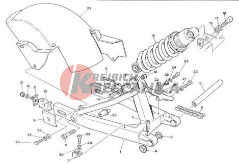 SWING ARM AND REAR MUDGUARD