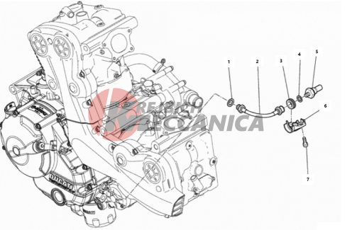 SWITCH ASSY, OIL PRESSURE