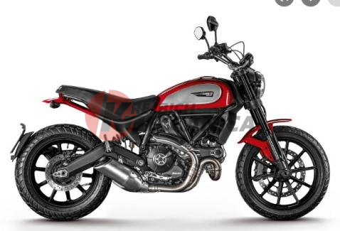 Scrambler 800 Icon (2019)