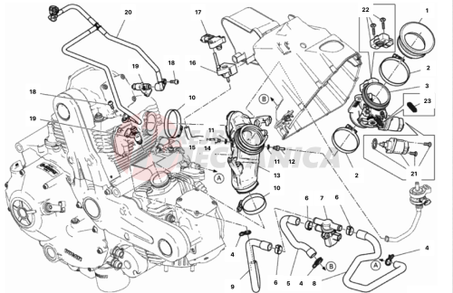 THROTTLE BODY