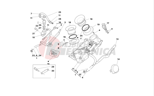 THROTTLE BODY