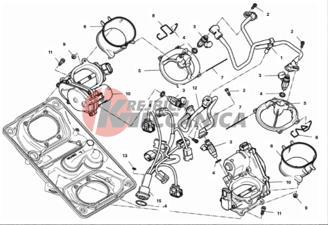 THROTTLE BODY