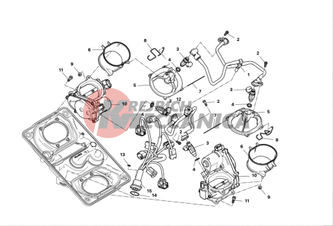 THROTTLE BODY