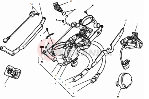 THROTTLE BODY