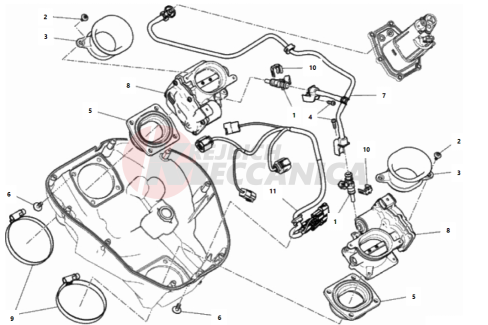 THROTTLE BODY