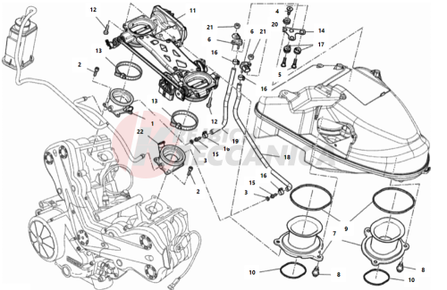 THROTTLE BODY