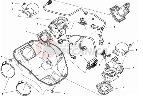 THROTTLE BODY