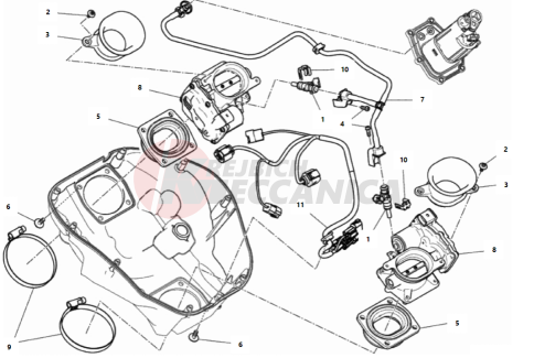 THROTTLE BODY