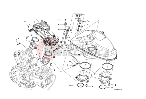 THROTTLE BODY