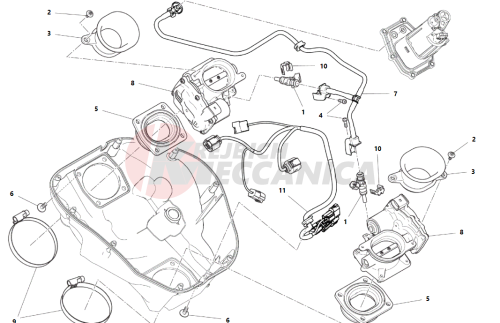 THROTTLE BODY