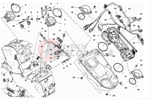 THROTTLE BODY