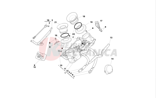 THROTTLE BODY