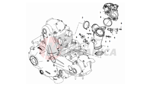 THROTTLE BODY