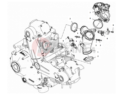 THROTTLE BODY