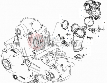 THROTTLE BODY