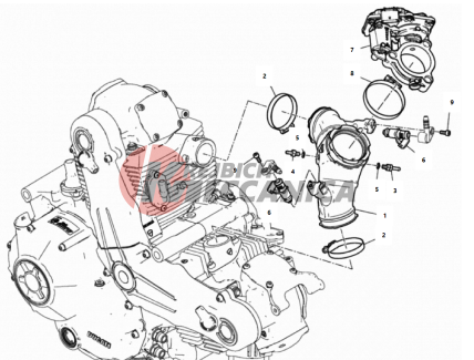 THROTTLE BODY