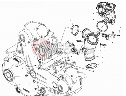 THROTTLE BODY