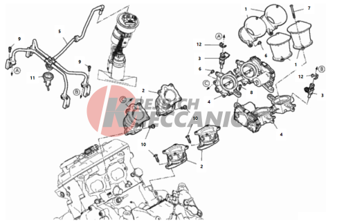 THROTTLE BODY