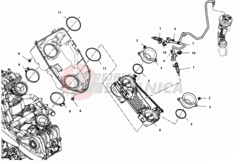 THROTTLE BODY