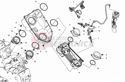 THROTTLE BODY