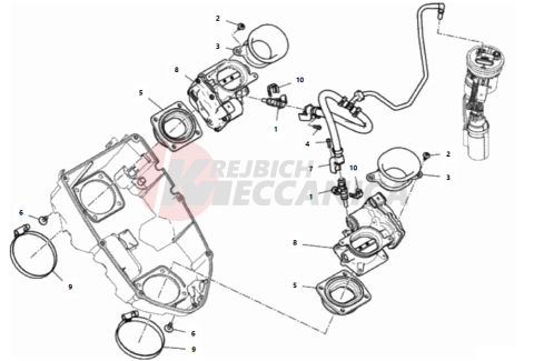 THROTTLE BODY