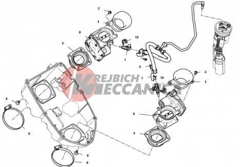 THROTTLE BODY