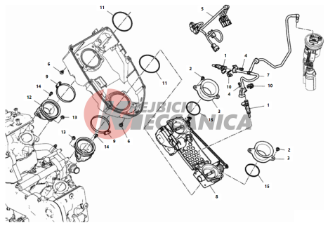 THROTTLE BODY